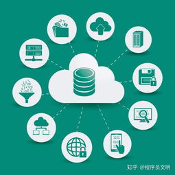 作為軟件開(kāi)發(fā)人員需要的技術(shù)技能